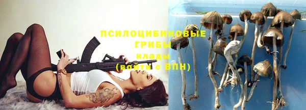 стафф Богородицк
