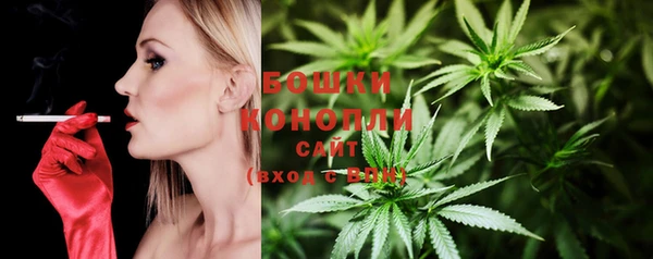 стафф Богородицк