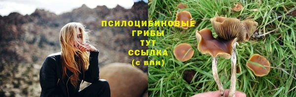 Альфа ПВП Богородск