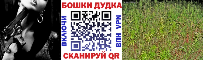Бошки марихуана семена  купить  сайты  Ворсма 